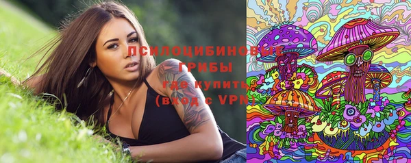 трава Арсеньев
