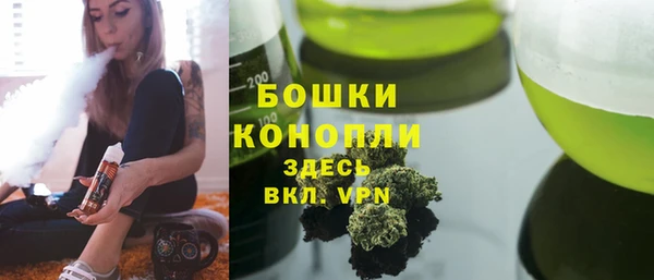 трава Арсеньев