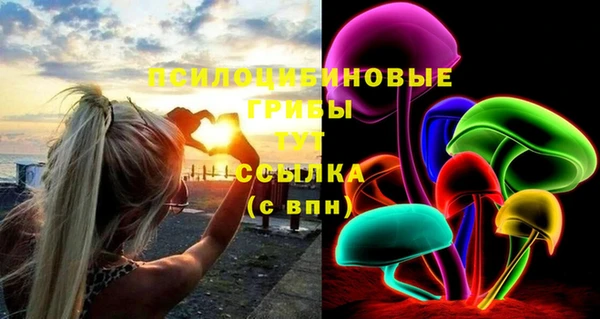 трава Арсеньев